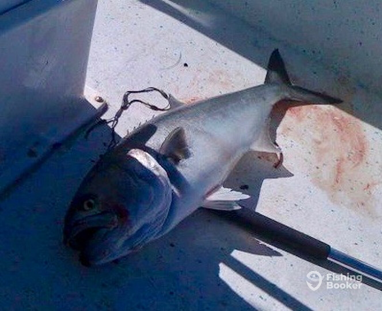 Scituate Report Photo 0