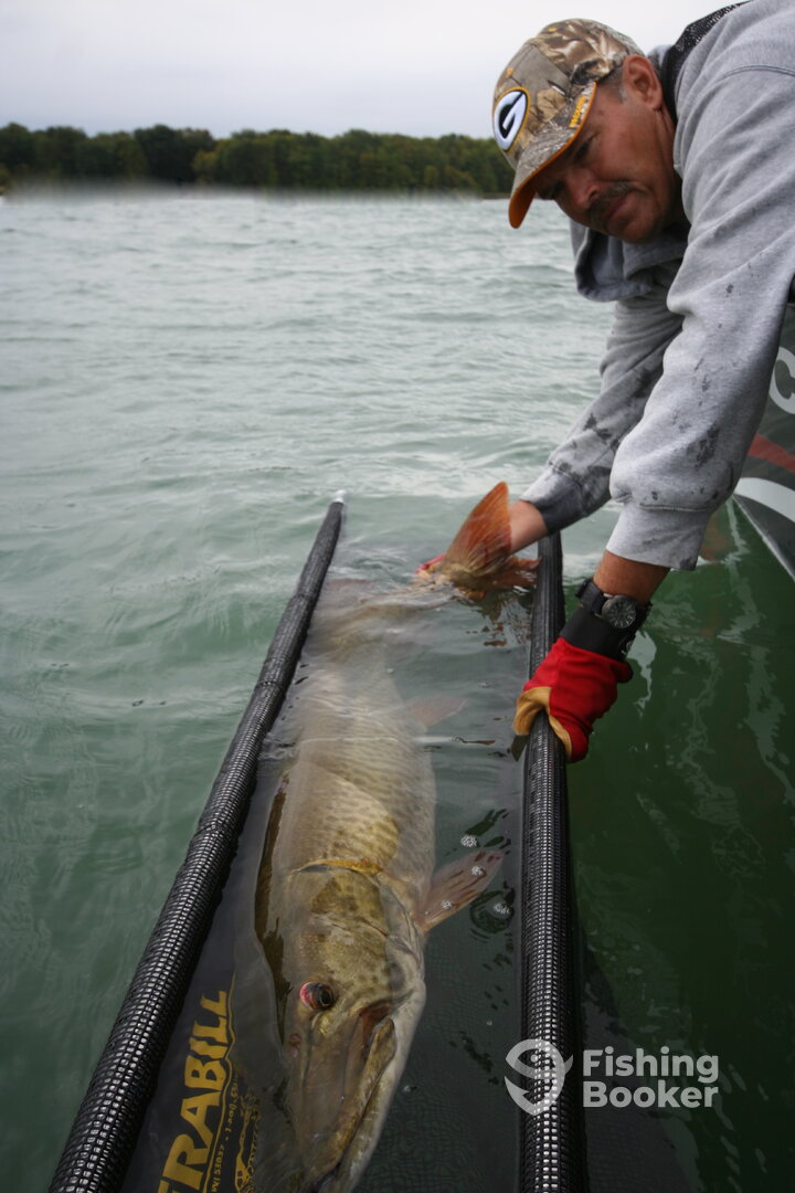 Terrebonne Report Photo 0