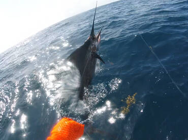 Action shot of Jay’s sail