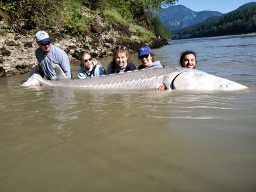 โข Record book Sturgeonโข