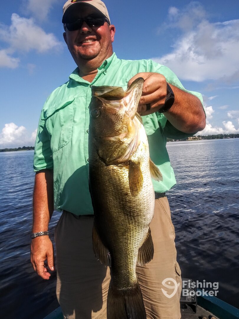 Tarpon Springs Report Photo 0