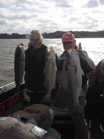 Limits limit and more limits