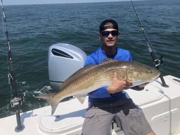 Norfolk Report Photo 2