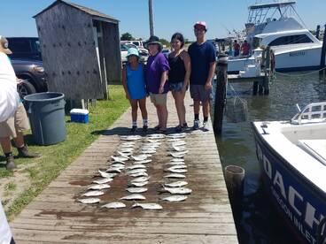 Nags Head Report Photo 2