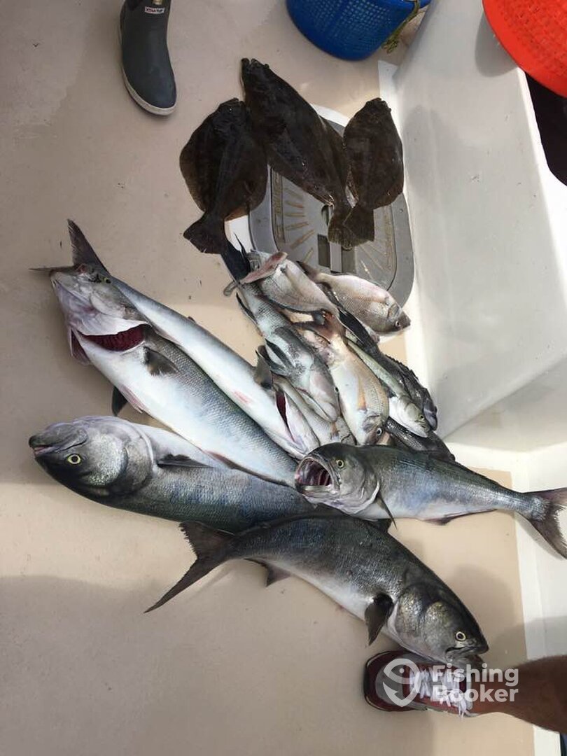 Montauk Report Photo 0
