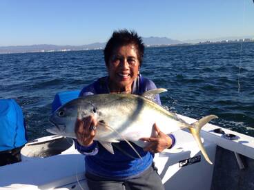 Jack cravelles are back 