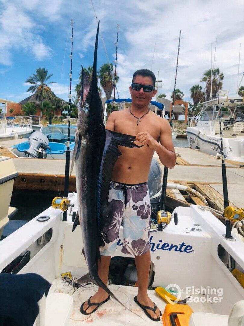 San Jose del Cabo Report Photo 0