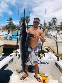 Marlin 