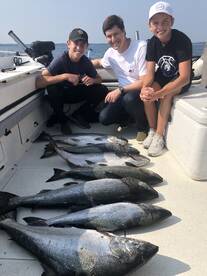 Plenty of salmon around!!