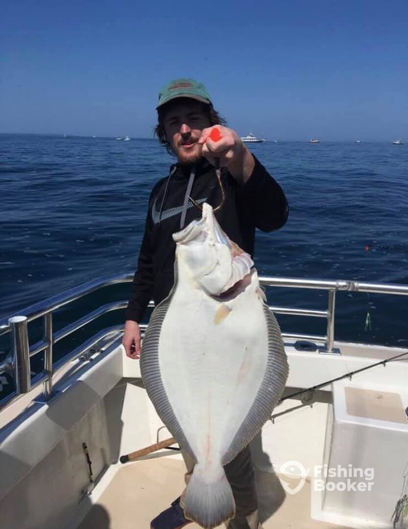 Montauk Report Photo 0