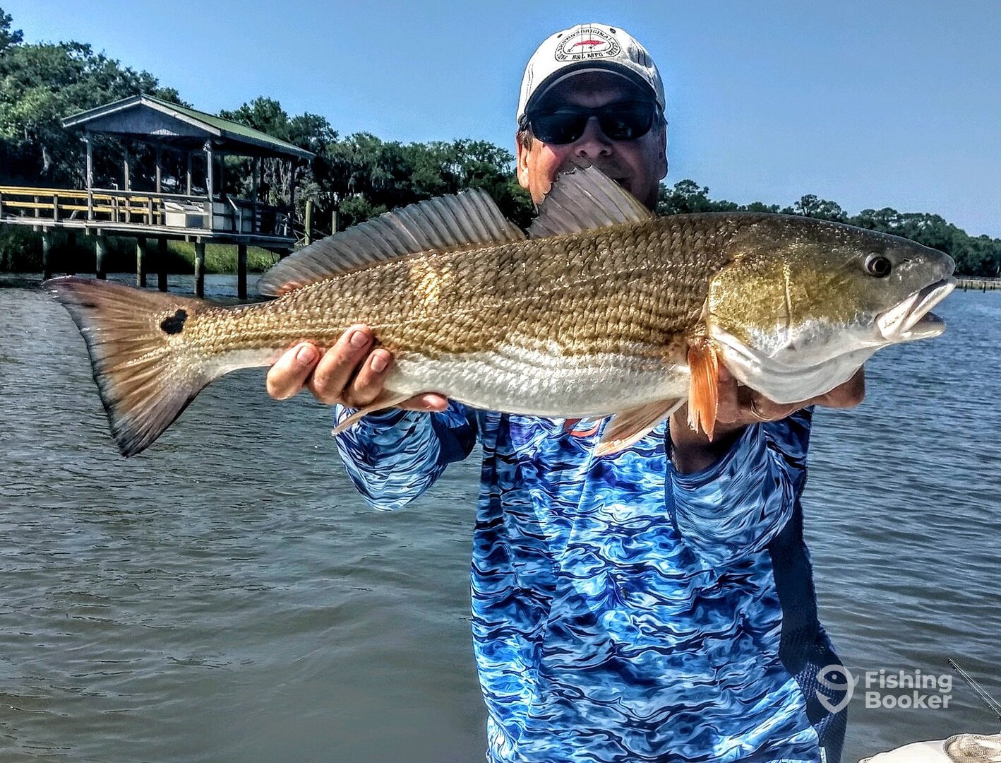 Savannah Report Photo 0
