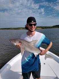 Savannah Report Photo 1