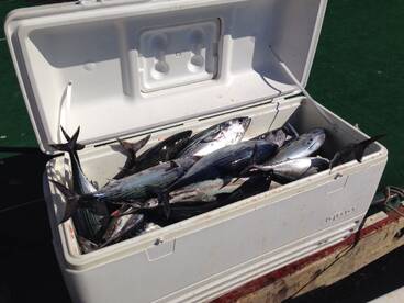  Wow bonitas more.  We got dinners for the hall year 