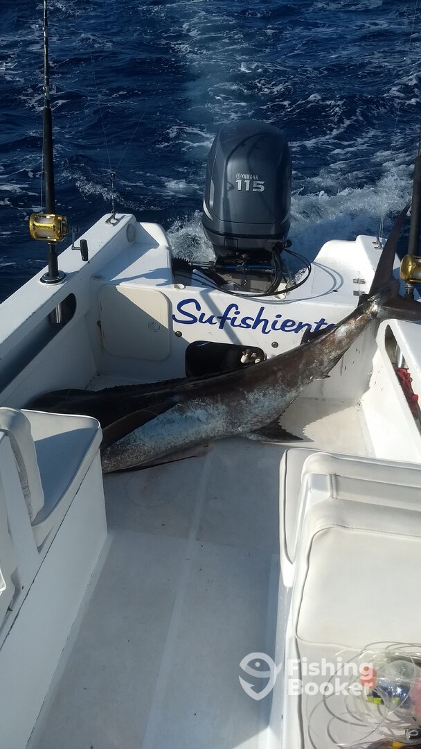 San Jose del Cabo Report Photo 0