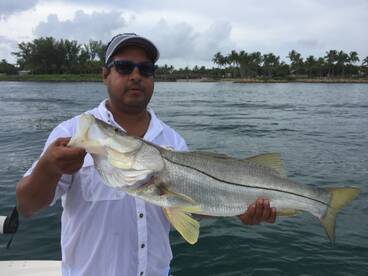 Miami Report Photo 1