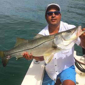 Great Snook adventure ! 