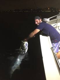 Miami Tarpon and Snook 