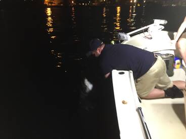 Miami Report Photo 1