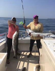 Montauk Report Photo 2