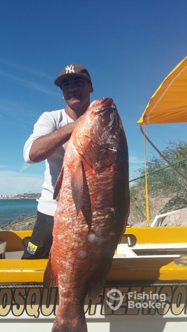 Great eating and so much much to catch
