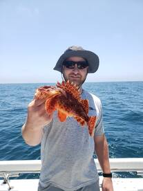 San Diego Report Photo 2