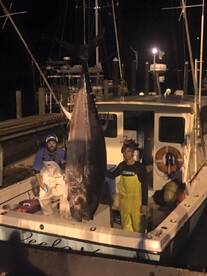 Atlantic Beach Report Photo 2