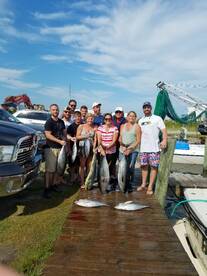 Wanchese Report Photo 1