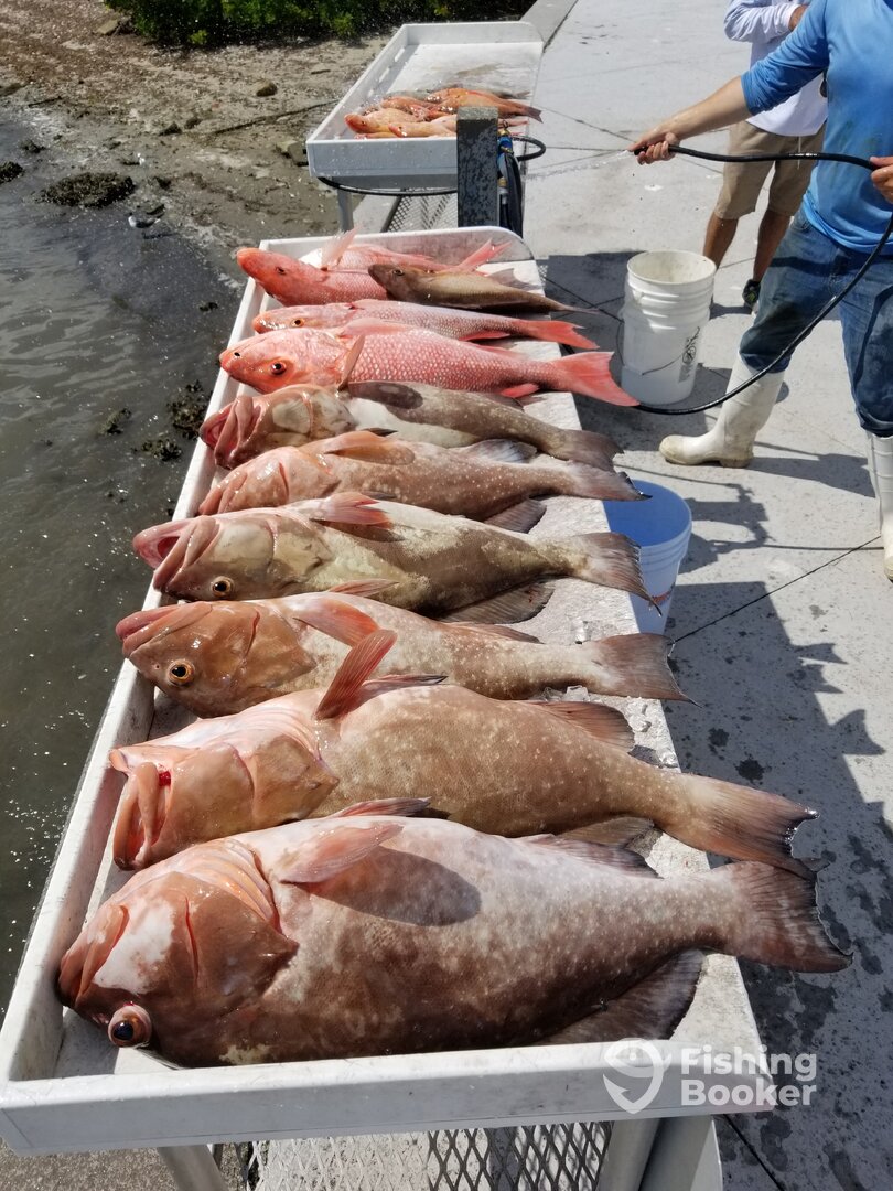 Clearwater Report Photo 0