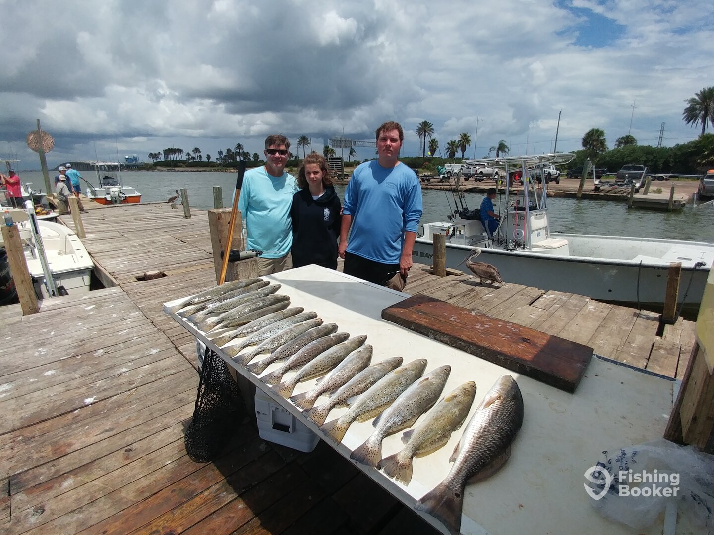 Texas City Report Photo 0