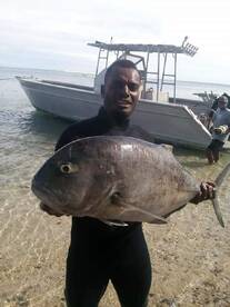 Sigatoka Report Photo 1