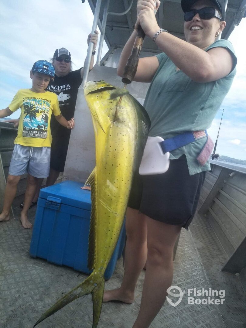 Sigatoka Report Photo 0