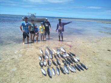 Sigatoka Report Photo 1