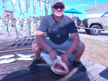Blacktip Shark that bit the Captain!!