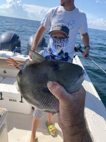 Orange Beach Report Photo 1