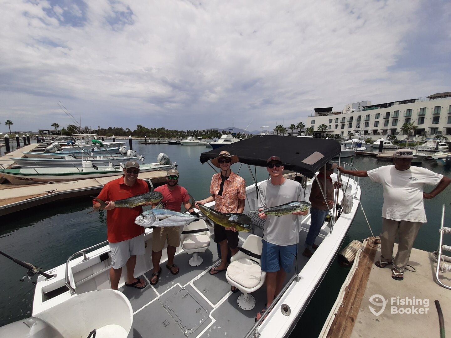 San Jose del Cabo Report Photo 0