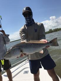 Venice Report Photo 2