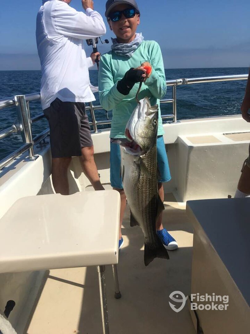 Montauk Report Photo 0