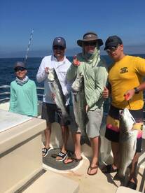 Montauk Report Photo 2