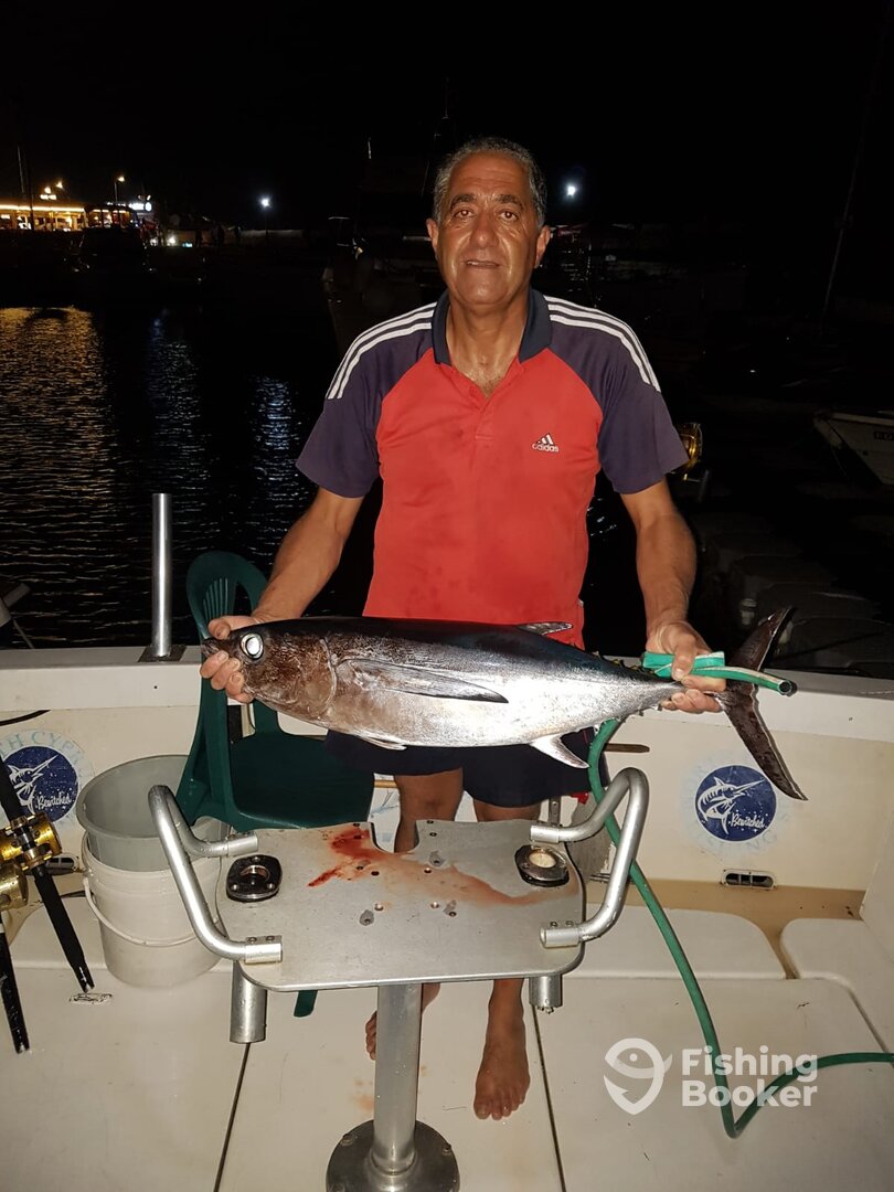 Girne Report Photo 0