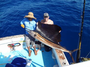 Sailfish fishing in Papagayo Costa Rica