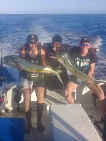 #Mahimahi 