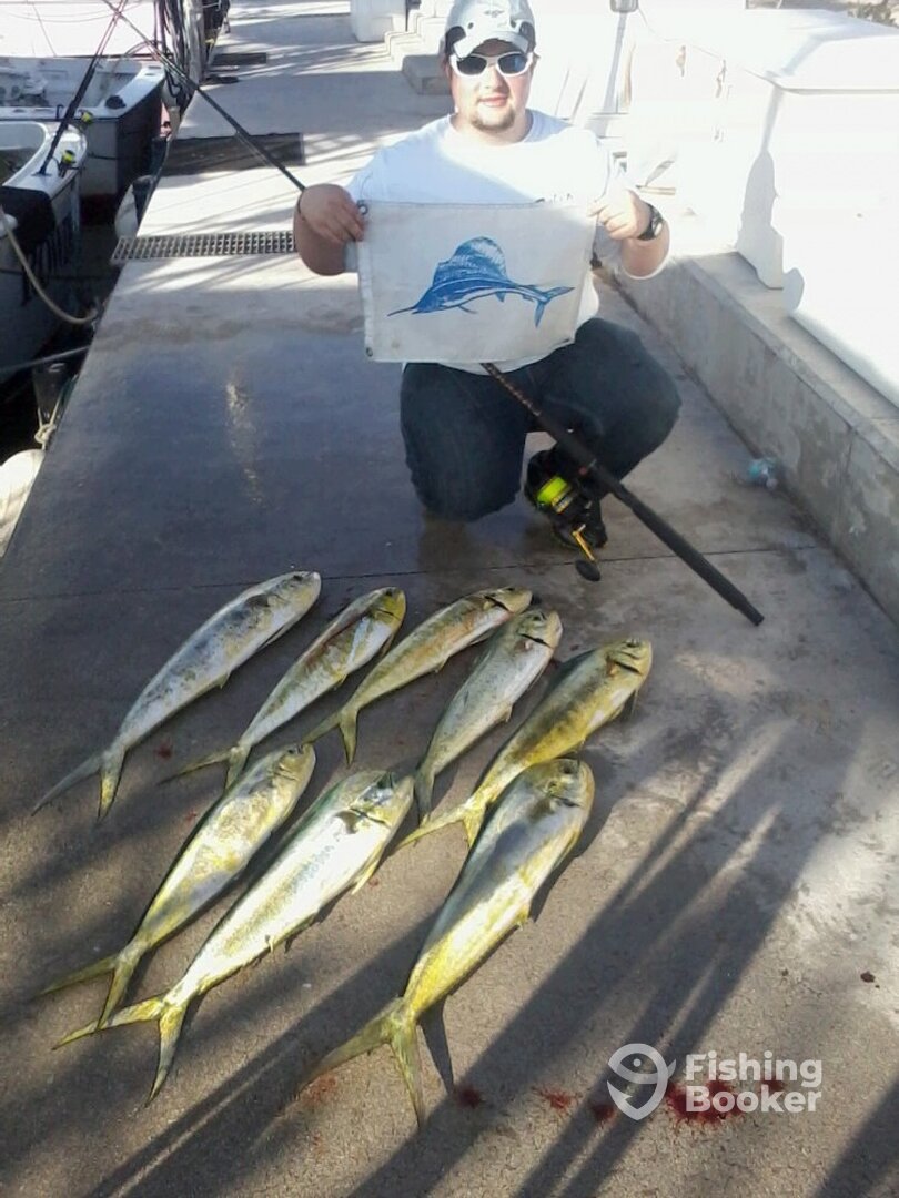 Fort Lauderdale Report Photo 0