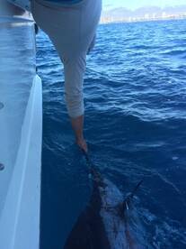 Fort Lauderdale Report Photo 2