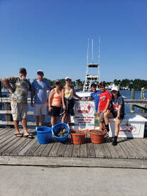 Loaded with Shrimp & Crabs