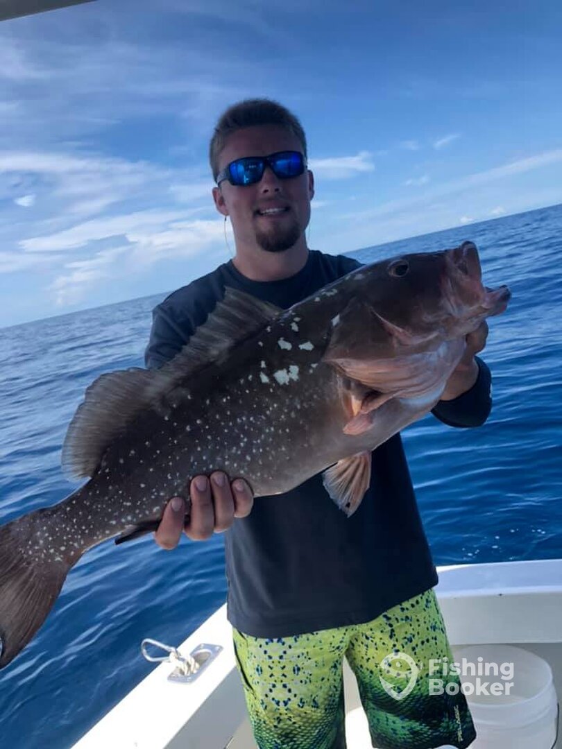 Clearwater Report Photo 0
