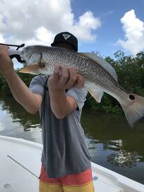 Clearwater Report Photo 2