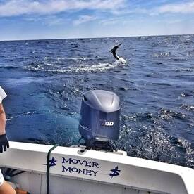 Ocean City Report Photo 2