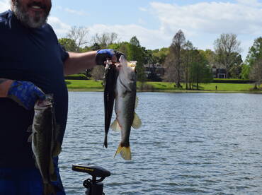 a few nice bass on a 2 hour trip