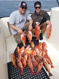 Deep drop rockcod limits 