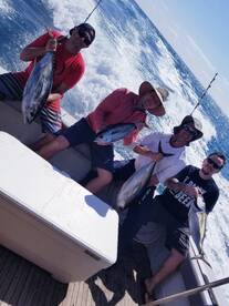 Yellowfin tuna are here. 